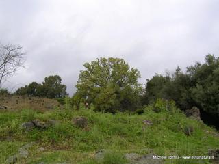 Acque_Grandi - 21-09-2014 17-51-39.jpg